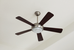 How Ceiling Fan Direction Impacts How Comfortable You Feel