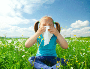 Get Relief With Allergy Season Tips