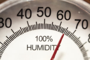 Seaonal Guide to Managing Humidity Levels